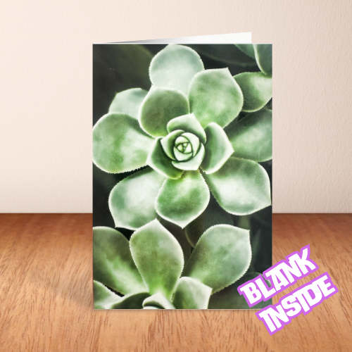 Little Green Succulant BLANK Card (6x4")