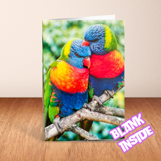 Parrot colourful Blank Card (6x4")