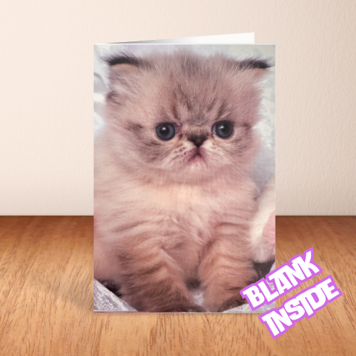 Adorable Grumpy Kitten BLANK Card (6x4")