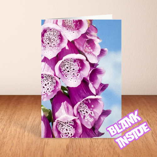 Purple Foxglove Card BLANK (6x4")