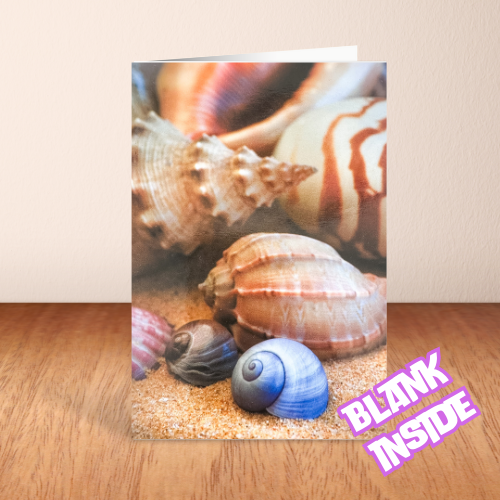 Shells on the sand BLANK Card (6x4")