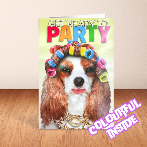 Dog in Curlers & Make-up 'Get Ready To Party' Card (6x4")