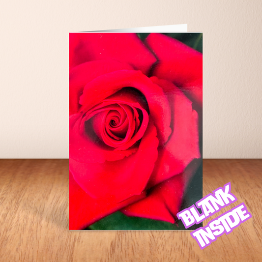 Rose Card - Blank (6x4")
