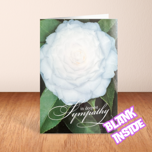 'In Deepest Sympathy' White Rose BLANK Card (6x4)