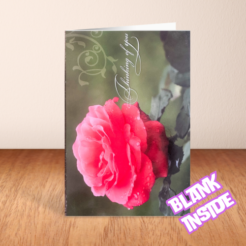 Red Rose 'Thinking of you' BLANK Card (6x4")