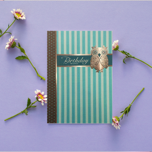 Teal Owl with stripes 'Birthday Wishes' Card (6x4")
