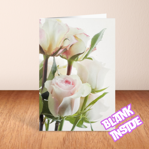 Sympathy Cards