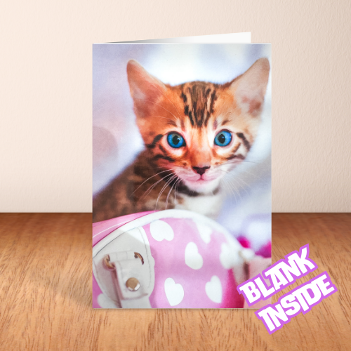 Cute Kitten & Pink hearts handbag BLANK Card (6x4")