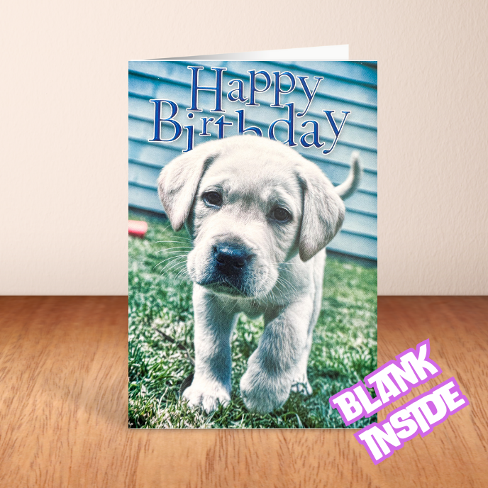 Cute Puppy 'Happy Birthday' Card - Blank (6x4")