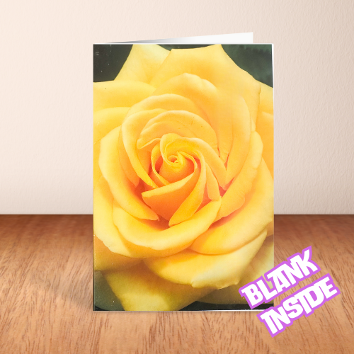 Big Yellow Rose BLANK Card (6x4")