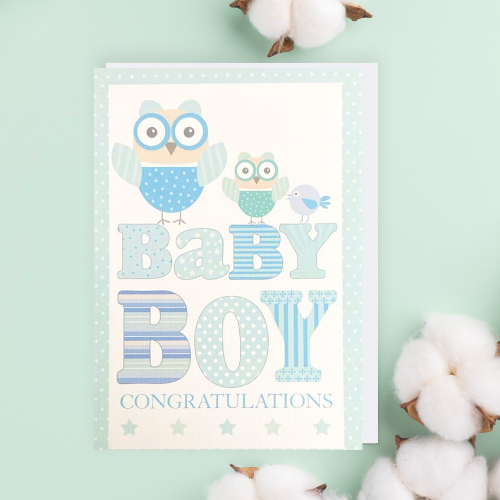 Pastel Blue Owl & Bird 'Baby Boy Congratulations' Card (6x4")
