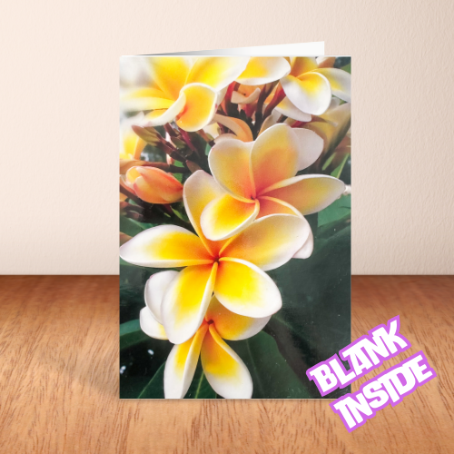 Yellow & White Flowers BLANK Card (6x4")