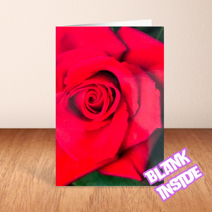 Rose Card - Blank (6x4")