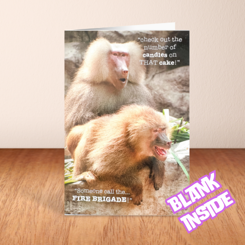 Baboons Birthday Card with funny message BLANK (6x4")